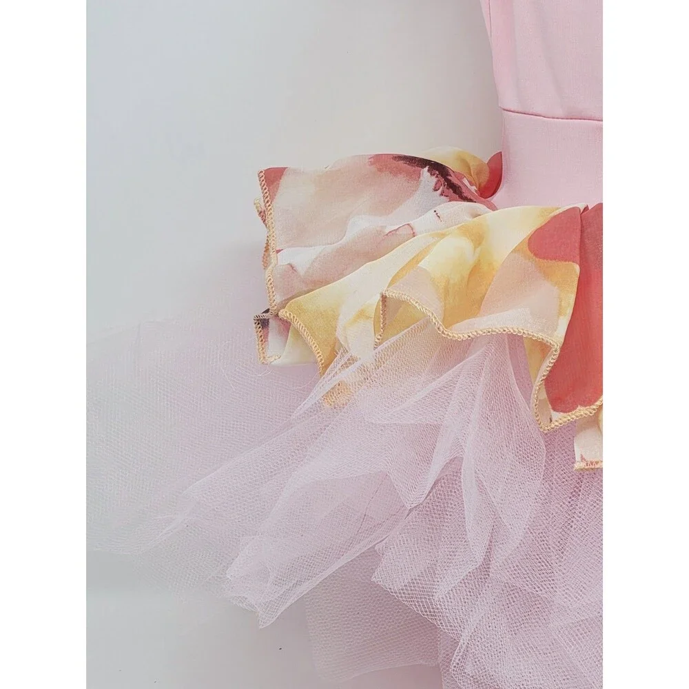 Duck Crossing Girls Ballet Tutu Skirted Leotard Dress 1pc Pink Orange Ruffle